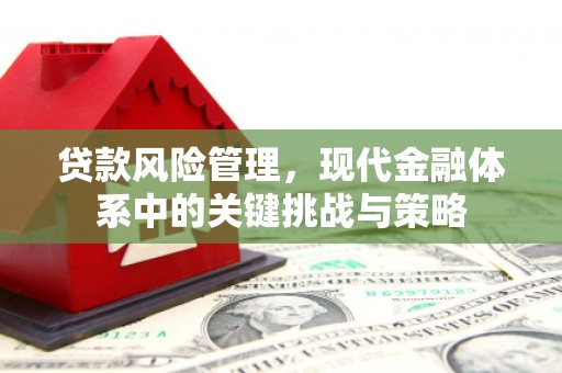 天元贷款风险管理，现代金融体系中的关键挑战与策略