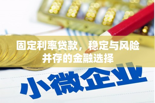 天元固定利率贷款，稳定与风险并存的金融选择