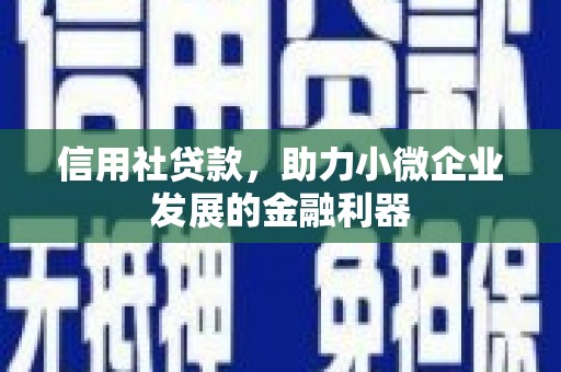 天元信用社贷款，助力小微企业发展的金融利器