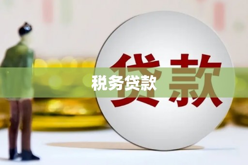 天元税务贷款