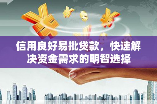 天元信用良好易批贷款，快速解决资金需求的明智选择