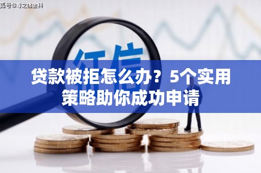 天元贷款被拒怎么办？5个实用策略助你成功申请