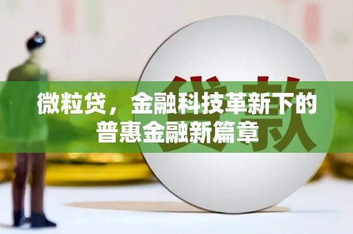 天元微粒贷，金融科技革新下的普惠金融新篇章