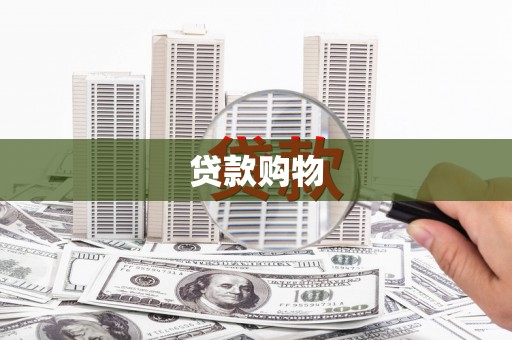 天元贷款购物