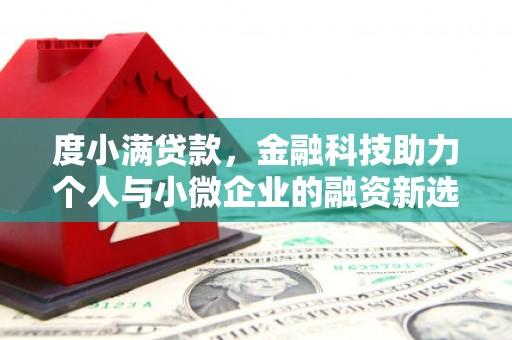 天元度小满贷款，金融科技助力个人与小微企业的融资新选择