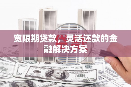 天元宽限期贷款，灵活还款的金融解决方案