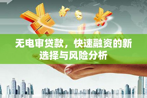 天元无电审贷款，快速融资的新选择与风险分析