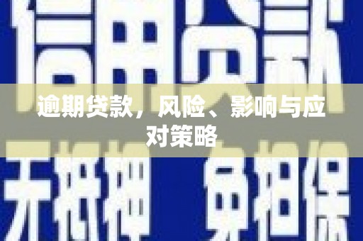 天元逾期贷款，风险、影响与应对策略