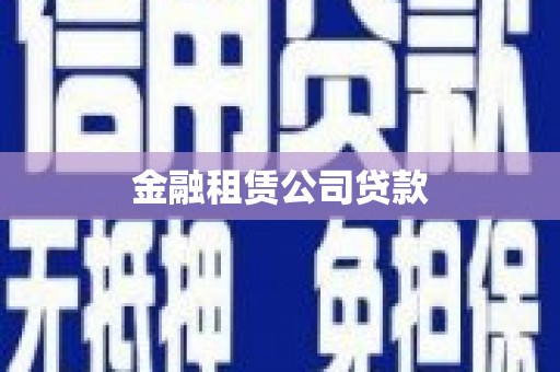 天元金融租赁公司贷款