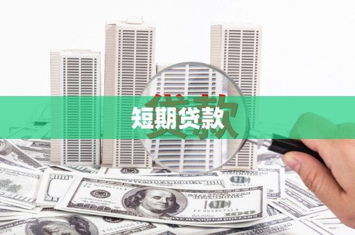 天元短期贷款
