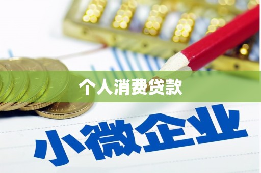 天元个人消费贷款