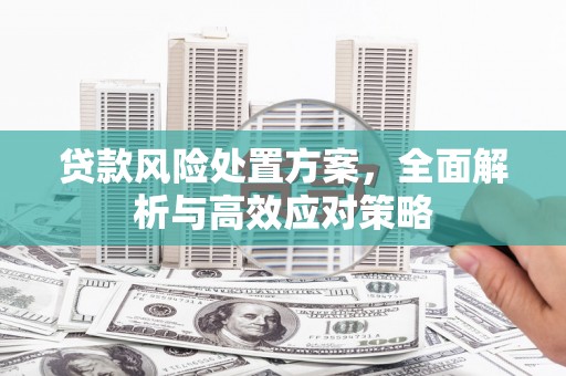 天元贷款风险处置方案，全面解析与高效应对策略