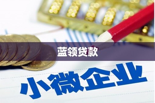 天元蓝领贷款