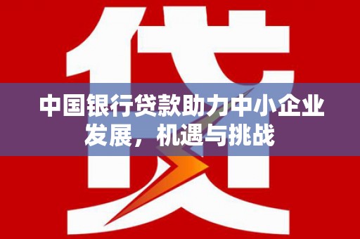 天元中国银行贷款助力中小企业发展，机遇与挑战