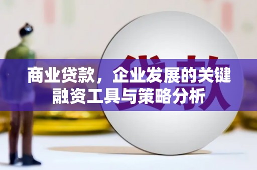 天元商业贷款，企业发展的关键融资工具与策略分析