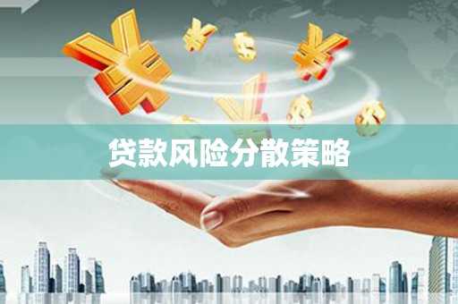 天元贷款风险分散策略