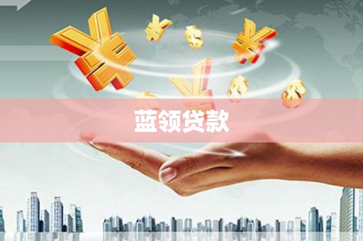 天元蓝领贷款