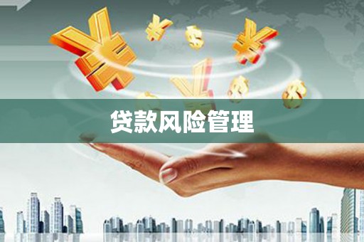 天元贷款风险管理
