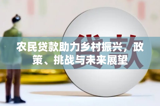 天元农民贷款助力乡村振兴，政策、挑战与未来展望