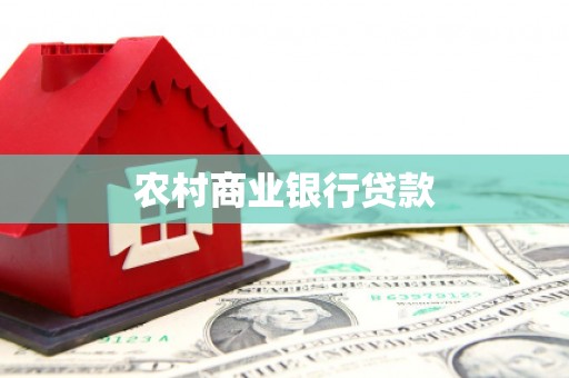 天元农村商业银行贷款