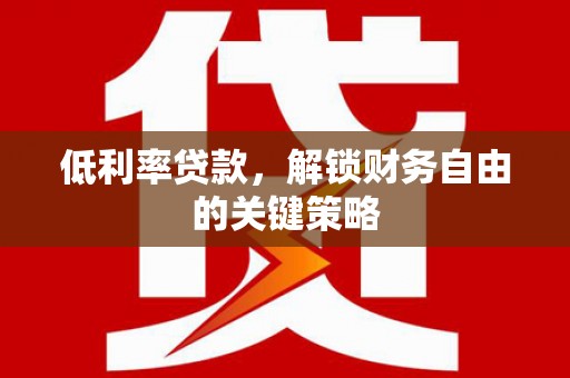 天元低利率贷款，解锁财务自由的关键策略