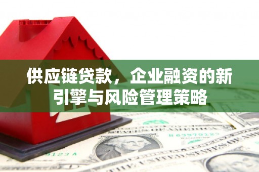 天元供应链贷款，企业融资的新引擎与风险管理策略