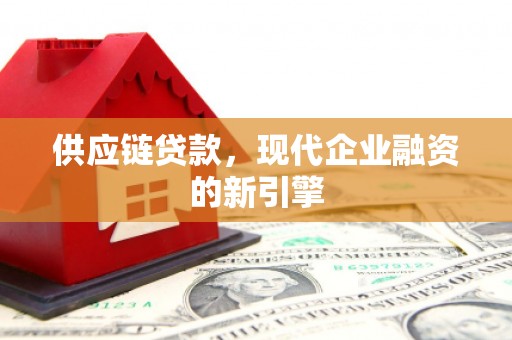 天元供应链贷款，现代企业融资的新引擎