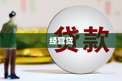 天元经营贷