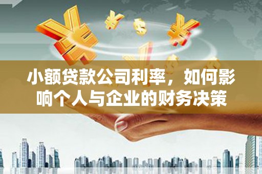 天元小额贷款公司利率，如何影响个人与企业的财务决策