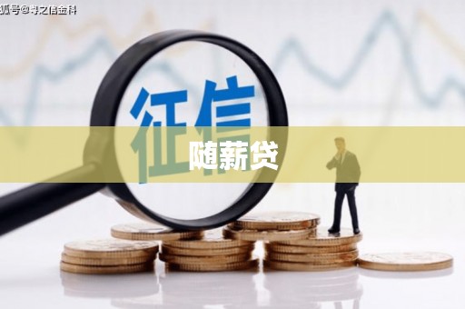 天元随薪贷
