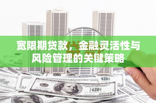 天元宽限期贷款，金融灵活性与风险管理的关键策略