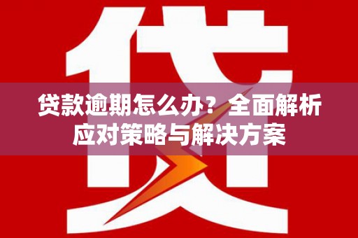 天元贷款逾期怎么办？全面解析应对策略与解决方案