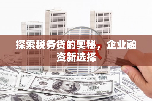 天元探索税务贷的奥秘，企业融资新选择