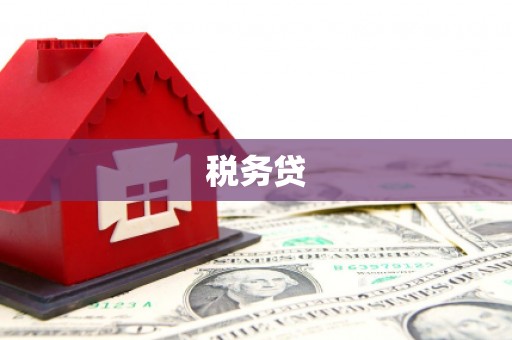 天元税务贷