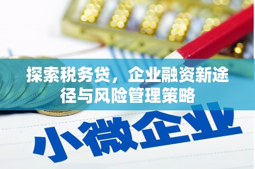 天元探索税务贷，企业融资新途径与风险管理策略