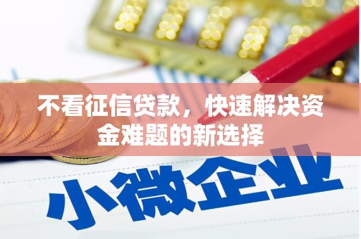 天元不看征信贷款，快速解决资金难题的新选择