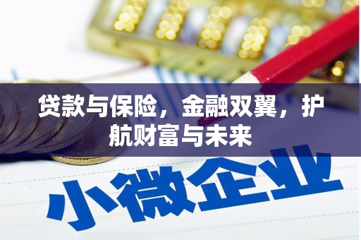 天元贷款与保险，金融双翼，护航财富与未来