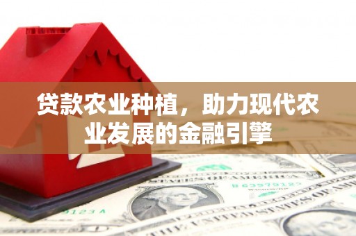 天元贷款农业种植，助力现代农业发展的金融引擎