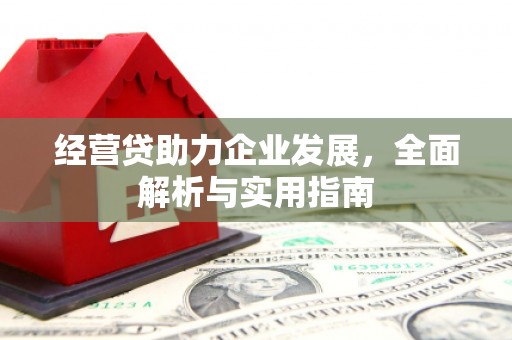 天元经营贷助力企业发展，全面解析与实用指南