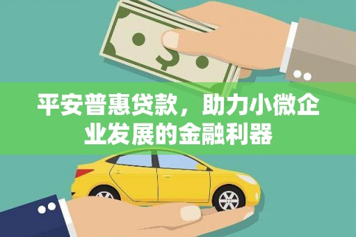 天元平安普惠贷款，助力小微企业发展的金融利器