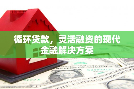 天元循环贷款，灵活融资的现代金融解决方案