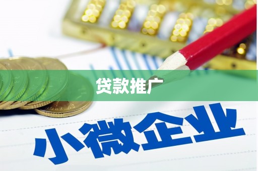 天元贷款推广