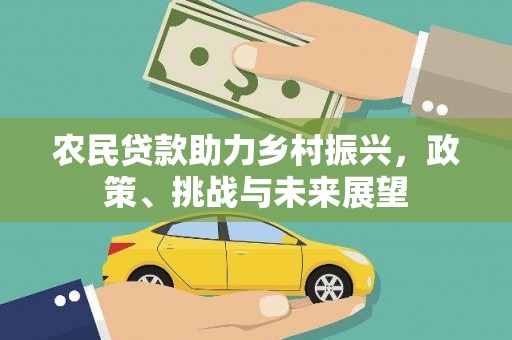 天元农民贷款助力乡村振兴，政策、挑战与未来展望