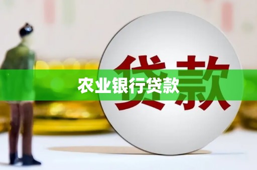 天元农业银行贷款