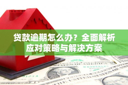 天元贷款逾期怎么办？全面解析应对策略与解决方案
