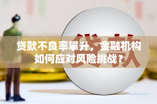 天元贷款不良率攀升，金融机构如何应对风险挑战？