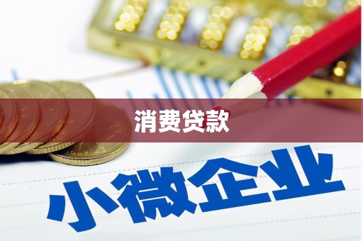 天元消费贷款
