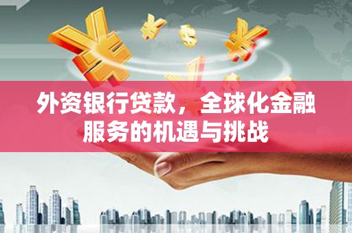 天元外资银行贷款，全球化金融服务的机遇与挑战