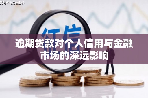 天元逾期贷款对个人信用与金融市场的深远影响