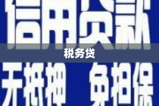 天元税务贷